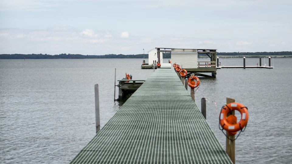 Chesapeake Biological Laboratory